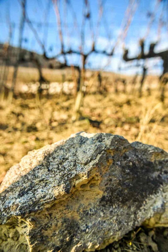 vineyards tokaj stone minerality