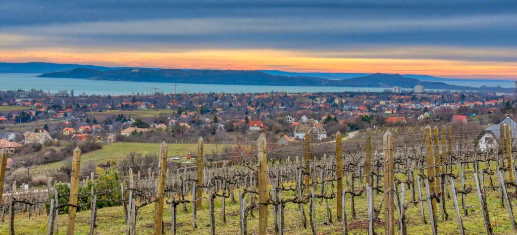 Vineyards of Csopak look to Tihany and the Balaton